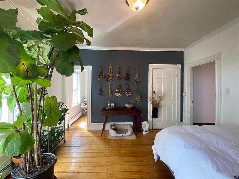 496 Sumner St #3 — Photo 2