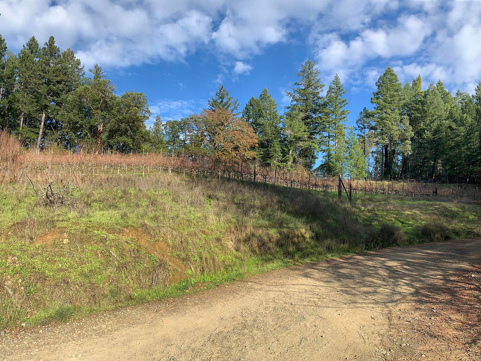 1600 Miller Creek Rd, Redway, CA 95560 MLS 265421 Zillow