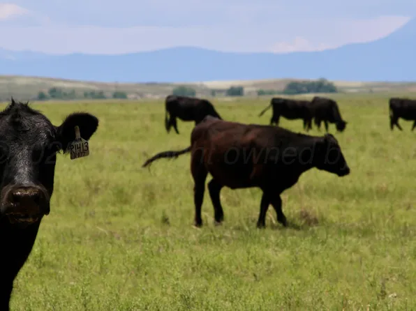 48999 County Road 48, Model, CO 81059