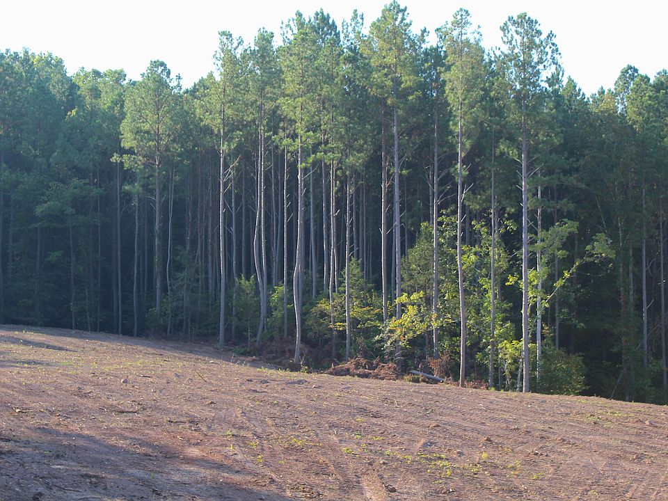 235 Bill Moser Rd Vonore, TN, 37885 Apartments for Rent Zillow