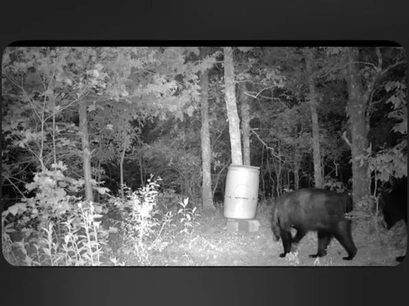 Township Road 42 Trail Ridge Rd #43-44&45, Talihina, OK 74571