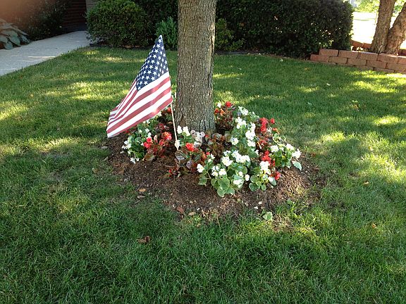 Front Yard Detail