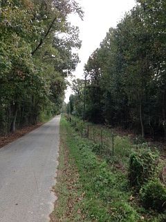 Woods Road 