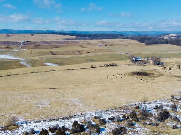 4080 Flat Rock Rd, Quicksburg, VA 22847