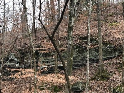 0 N Seed Tick Rd, Dawsonville, GA, 30534