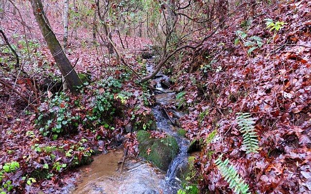 1st image of 0 Fightington Creek Retreat #3