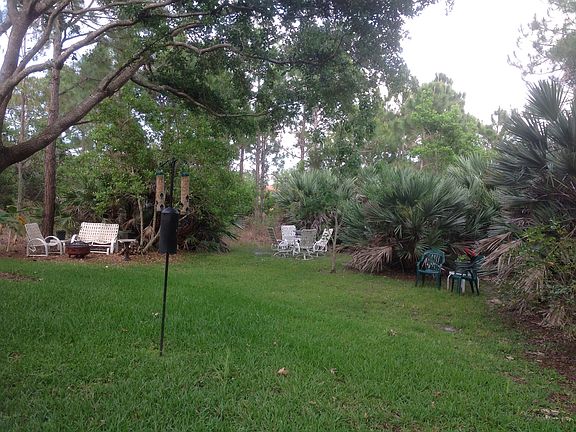 Backyard on nature preserve