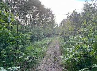 Cassidy Rd, Bellevue, MI 49021