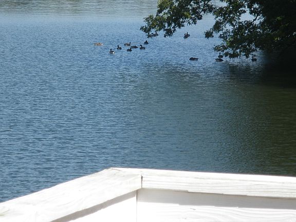 Lake view from party deck