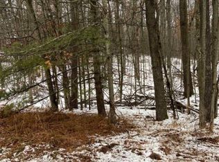 3368 Wildwood Rd, Lewiston, MI 49756