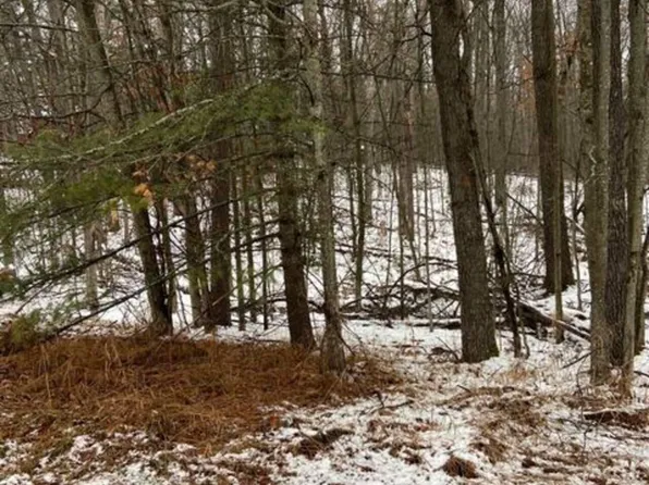 3368 Wildwood Rd, Lewiston, MI 49756