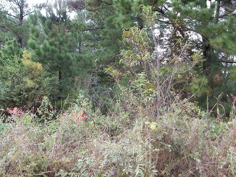 2nd image of 944 Ellis Ferry Rd
