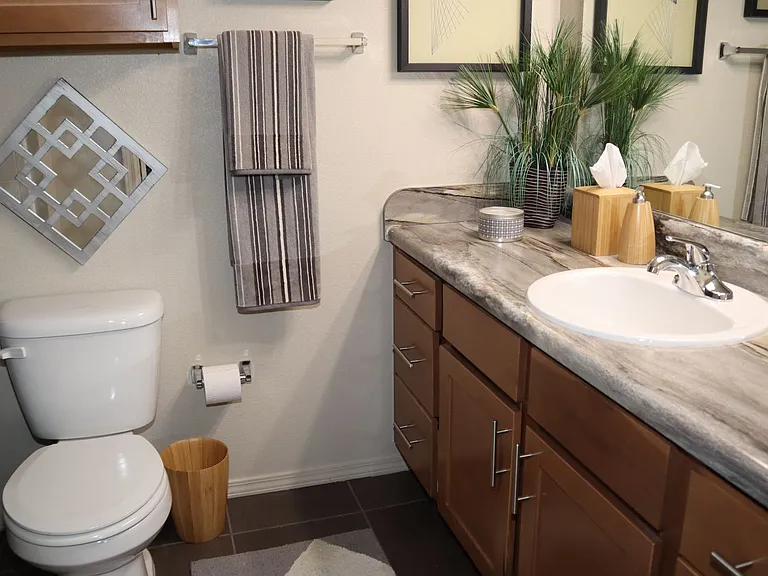 Villas at Canyon Ranch — Photo 85