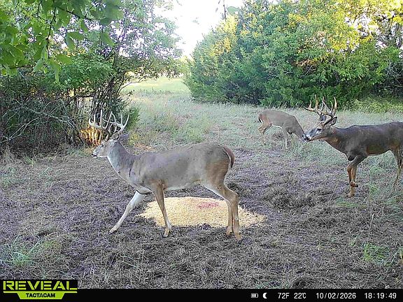 2nd image of 0 201st Rd