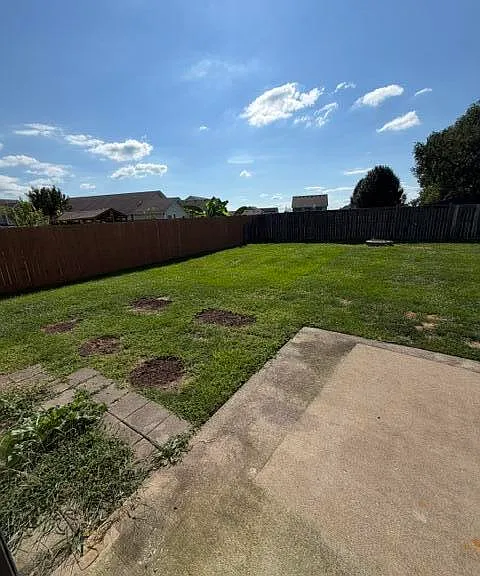 156 Stephen Dr — Photo 11