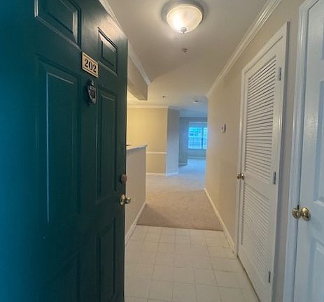 3rd image of 14150 Cuddy Loop APT 202