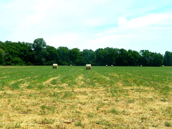 Laurel Grove Rd, Federalsburg, MD 21632