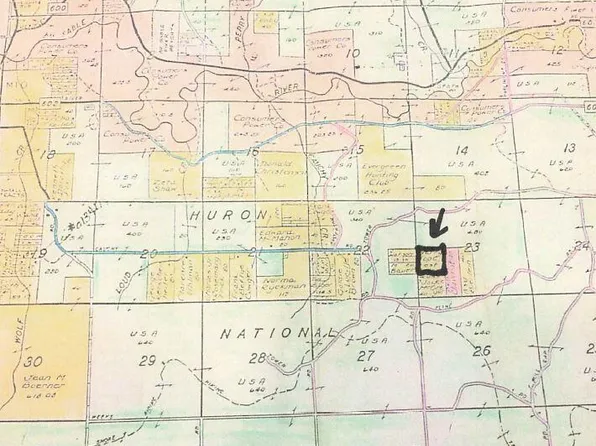 Cline Rd, Mio, MI 48647