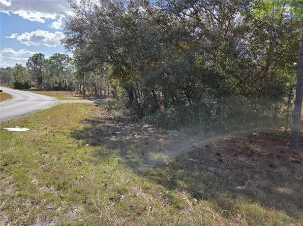 NE 14th Pl Lot 7, Williston, FL 32696