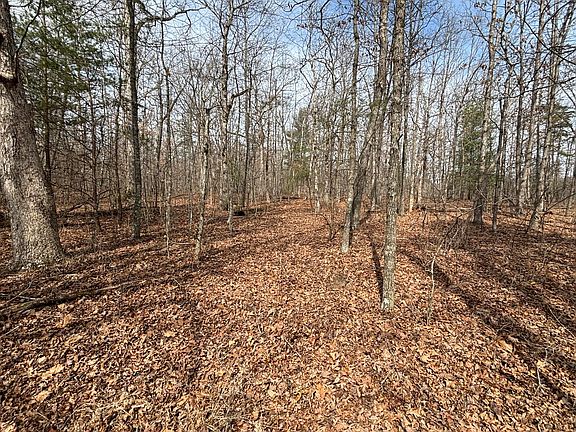 4th image of 1410 New Harmony Rd