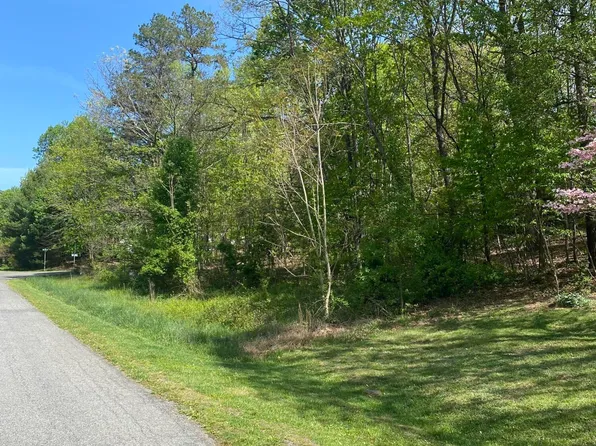 0 Spruce Ln #3, Blue Ridge, VA 24064