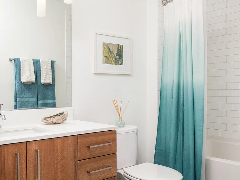 Modern, Flat-Panel Cabinets