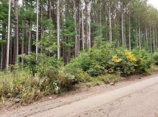 V/l N Lakola Rd, Leroy, MI 49655