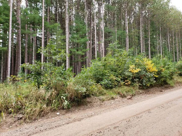 N Lakola Rd, Leroy, MI 49655