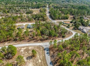 10725 N Moreno Dr, Citrus Springs, FL 34433