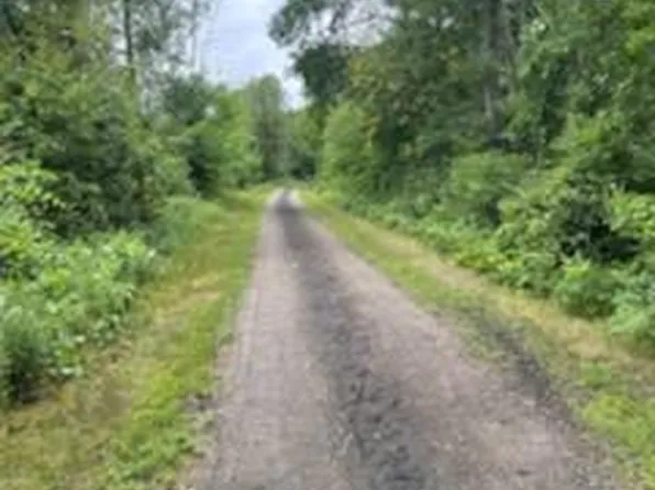 Cass St, Morley, MI 49336