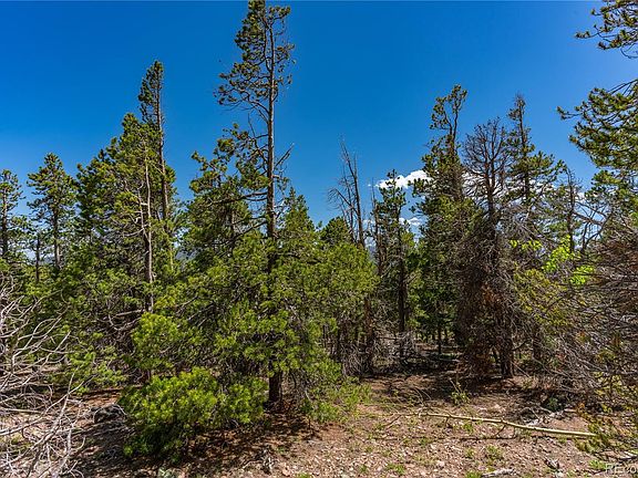 4th image of 33768 Lyttle Dowdle Drive LOT 6