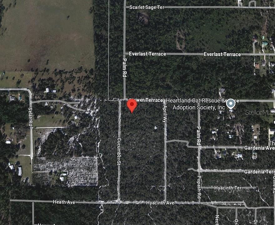 1st image of 5306 Cucumber St Lot 4