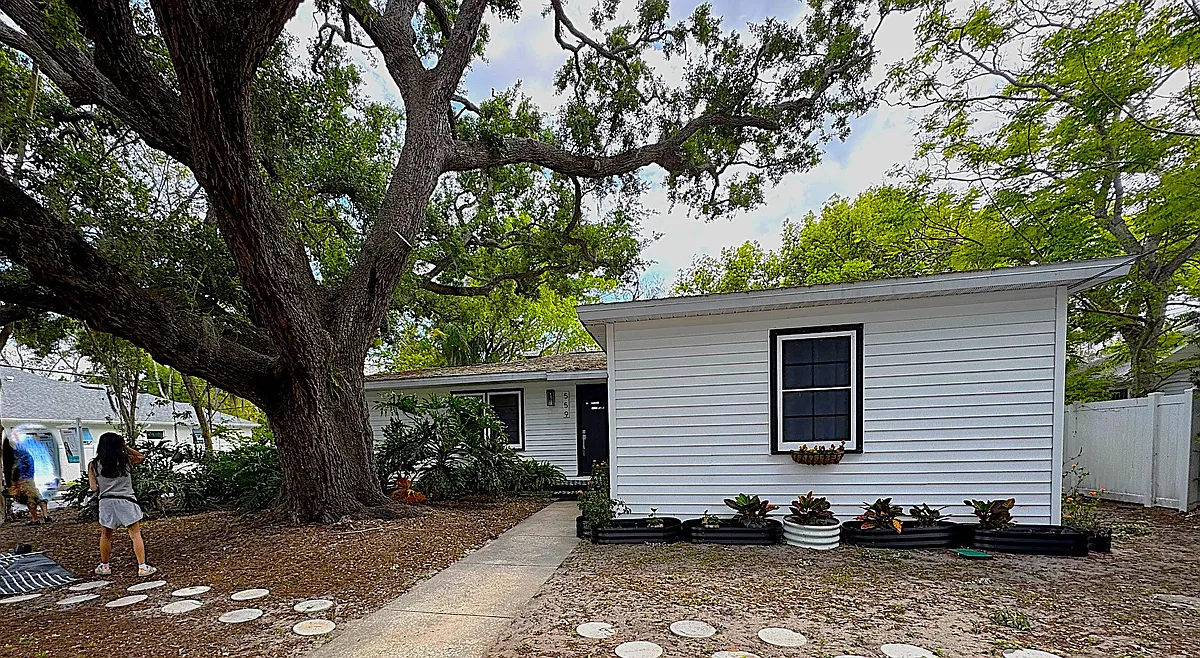 Photo 1 of 19 - 559 Scotland St - Dunedin, FL Exterior with live oak - 559 Scotland St