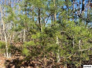 LOT 40 Ridgeview Dr, Sevierville, TN 37876