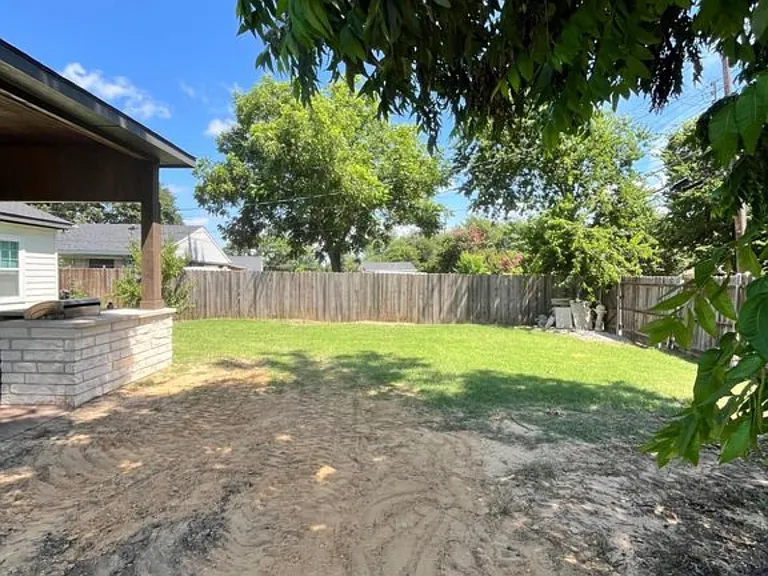 Back Yard