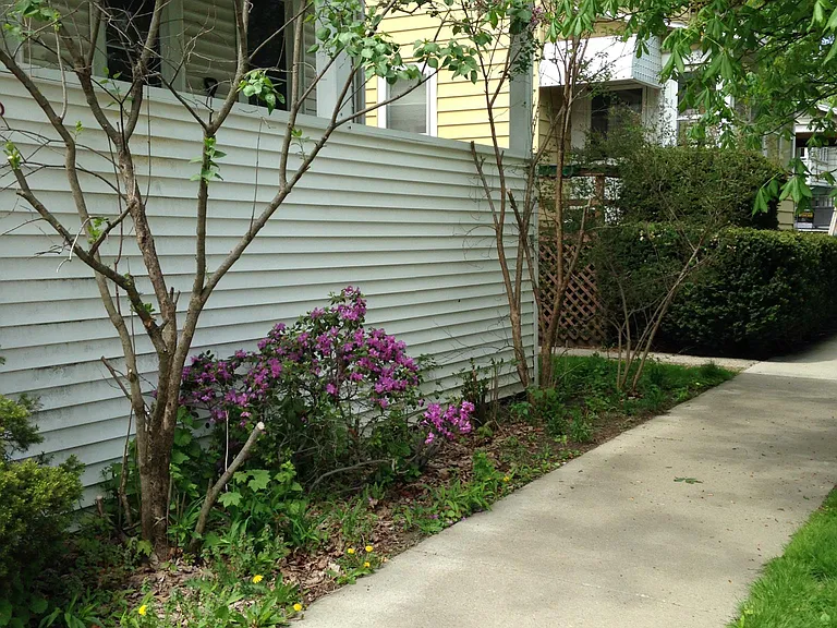 406 Utica St #1 — Photo 11