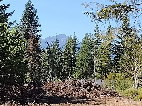 2702 NE Dewatto Road, Tahuya, WA 98588