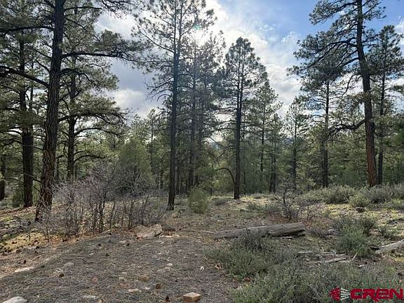 2nd image of 596 Ginger Circle