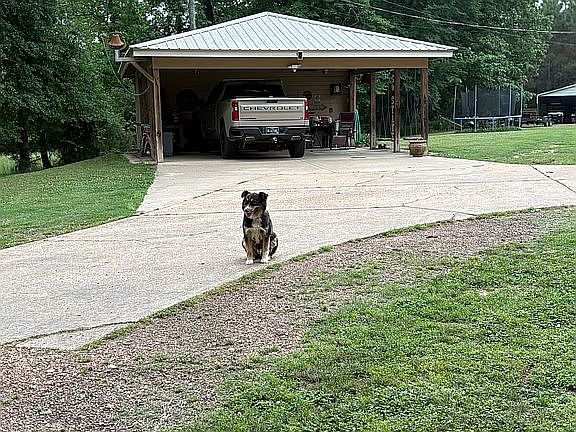 2nd image of 3963 Attala Road 2247
