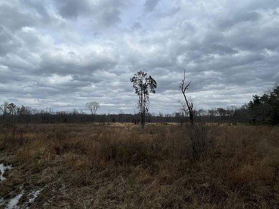2nd image of Bradshaw Brake