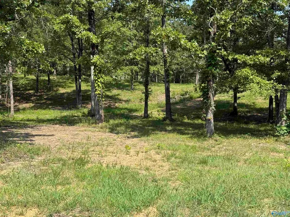 1 County Road 819, Cedar Bluff, AL 35959