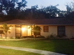 711 Holly Ter, Brandon, FL 33511