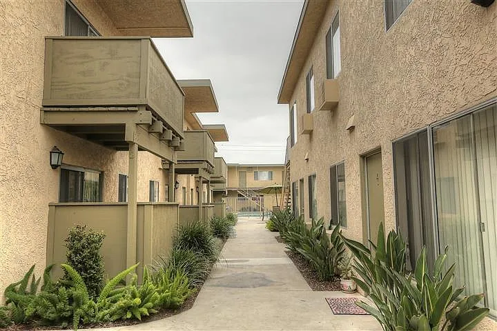 16405 Cornuta — Photo 2