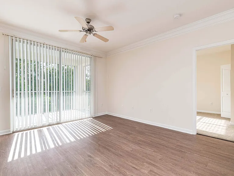 Discovery Palms — Photo 45