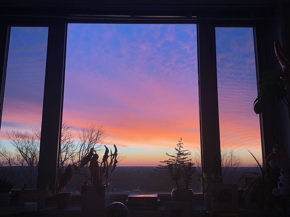 GORGEOUS SUNRISES from your bed & entire apt! Feels magical :)