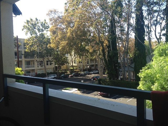 View from outside deck