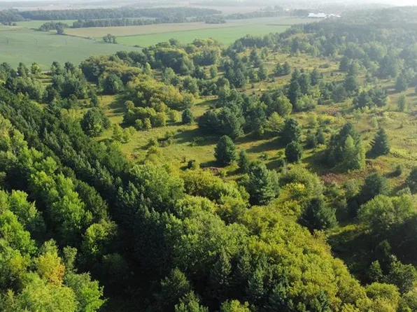 xx 220th, Deer Park, WI 54007