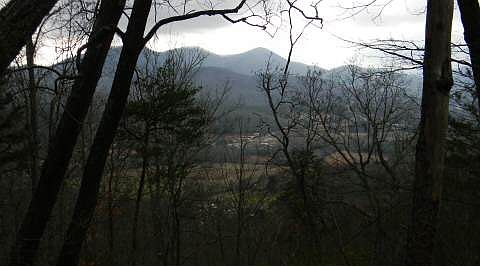 2nd image of Bald Eagle Dr #14