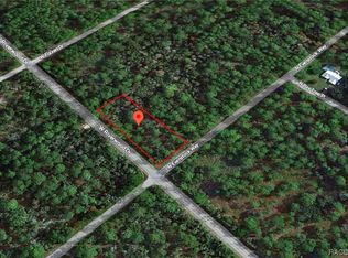 9305 N Evenstock Way, Crystal River, FL 34428