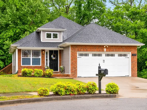 309 Birdsong Trce, Clarksville, TN 37040